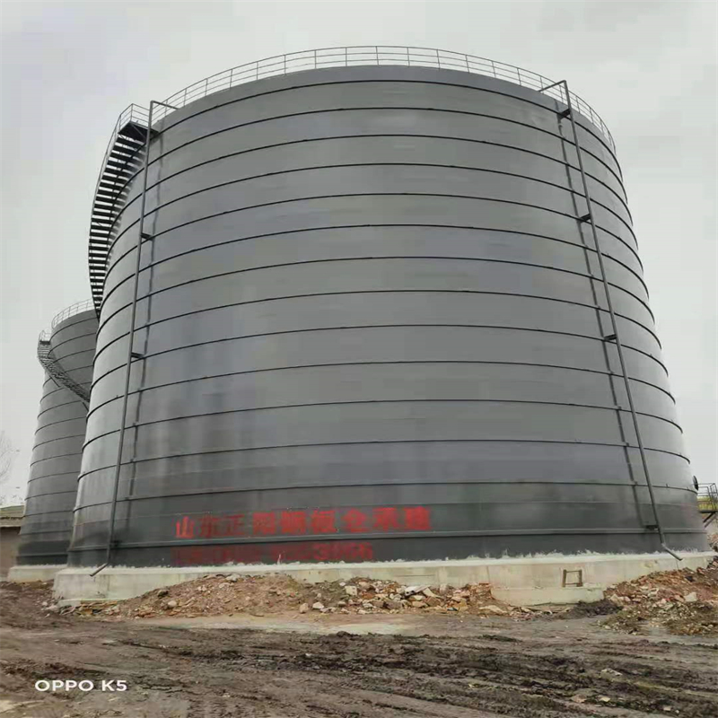 桑珠孜3万吨大型钢板库